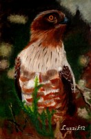 /album/dipinti-di-luzzi-fabio/img-20180828-120235-jpg/