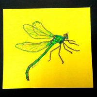 /album/dipinti-di-luzzi-fabio/a71293079-678661262652884-4743812264857960448-n-jpg/