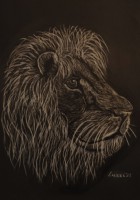 /album/dipinti-di-luzzi-fabio/img-20210106-213113-jpg/